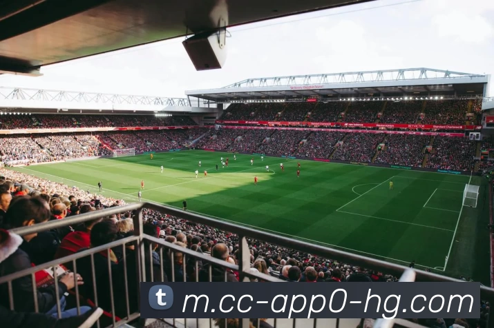 对战数据统计