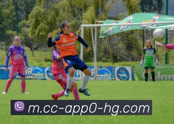 奖项证书
